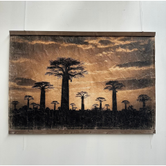 FORÊT BAOBABS MORONDAVA (150x100cm) FORÊT BAOBABS MORONDAVA (150x100cm)